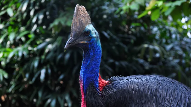 Humes Bebo® Precast Concrete Arch | Cassowary